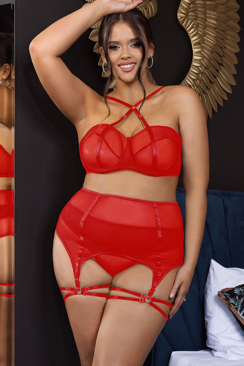 Voluptuous Mesh Temptation Set