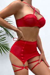 Seductive Mesh Temptation Set