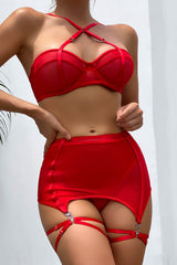 Seductive Mesh Temptation Set